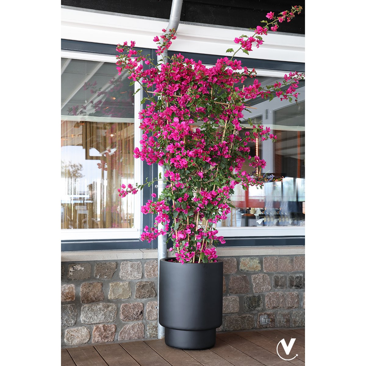 Planter - Almstok big black