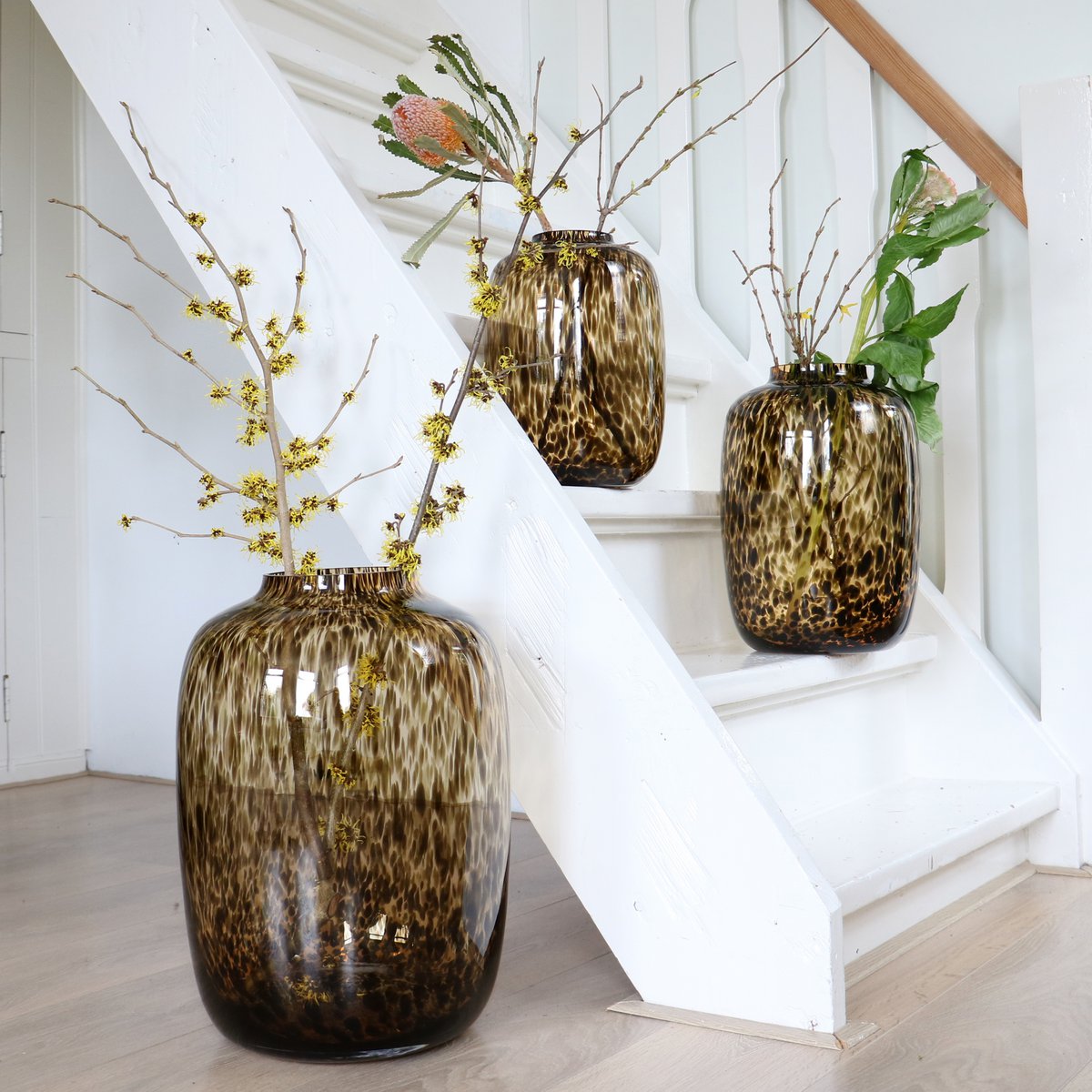 Vaas - Ar Arctische Cheeiah