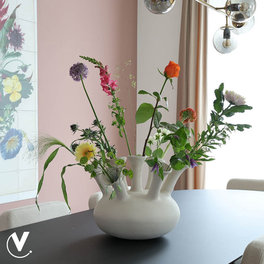 Vaas - Amsterdam 7 Ivoor